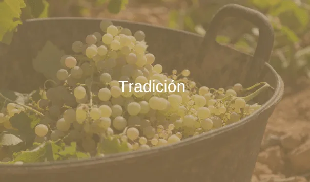 Thrilling Tradition That Captivates All