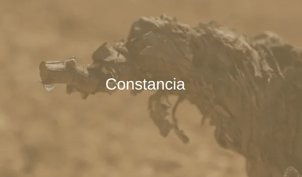Constancy