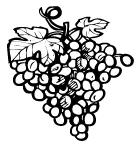 Best wines from Toledo